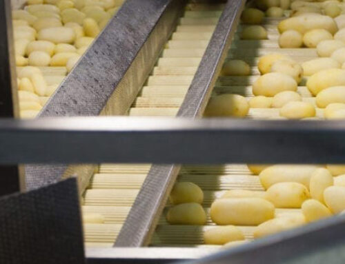 Agristo | Werk Wielsbeke